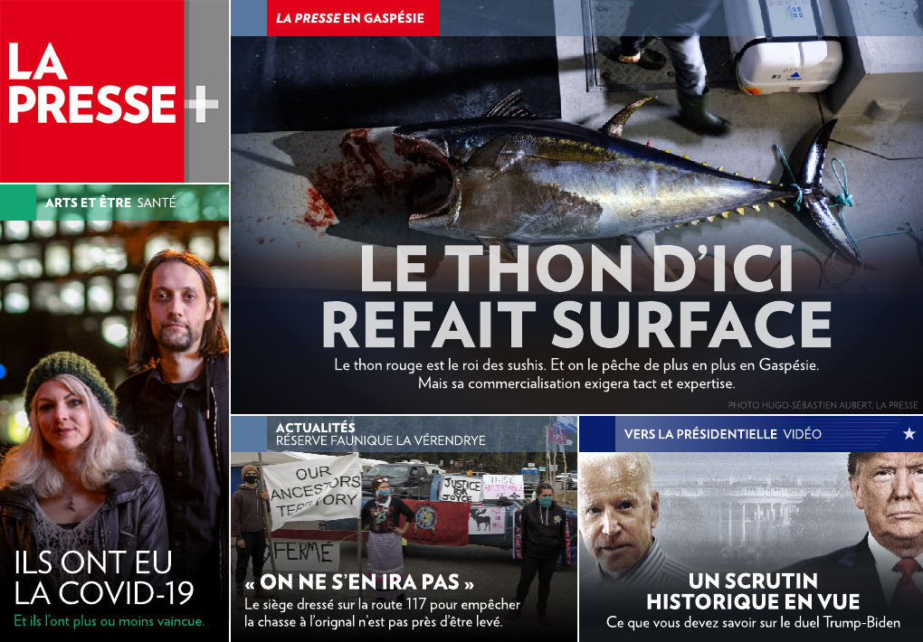 actualités  La Presse+