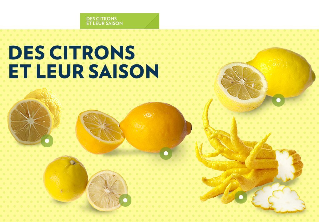 Le citron, fruit ensoleillé de notre quotidien - Infothèque