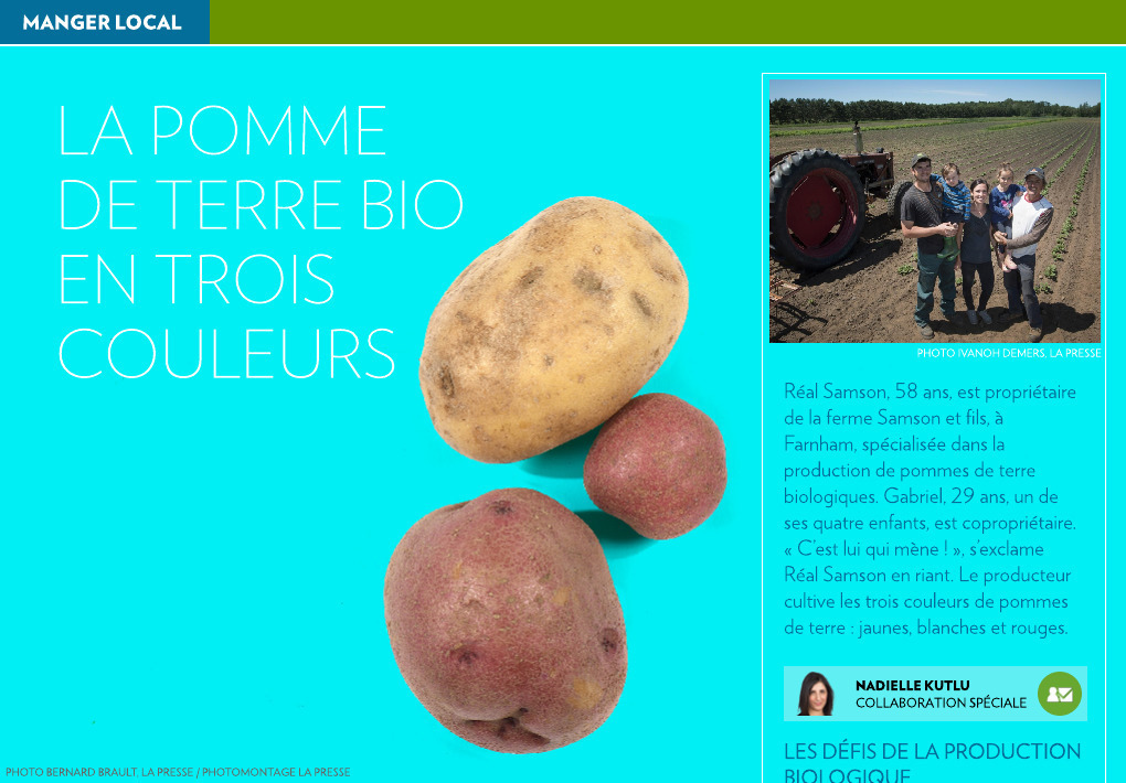 Vente en gros de Patates douce bio en gros & Variétés de Pommes de terre  bio du Producteur local