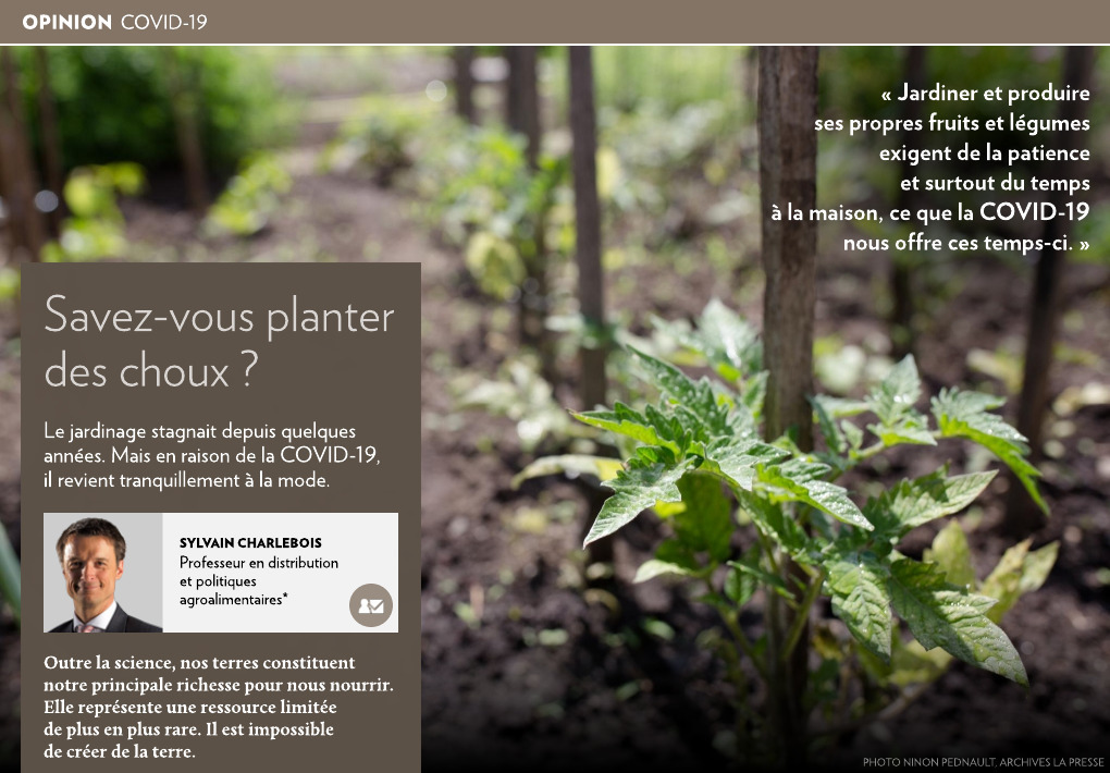 Savez-vous Planter Chez Nous - Le site de partage de jardin