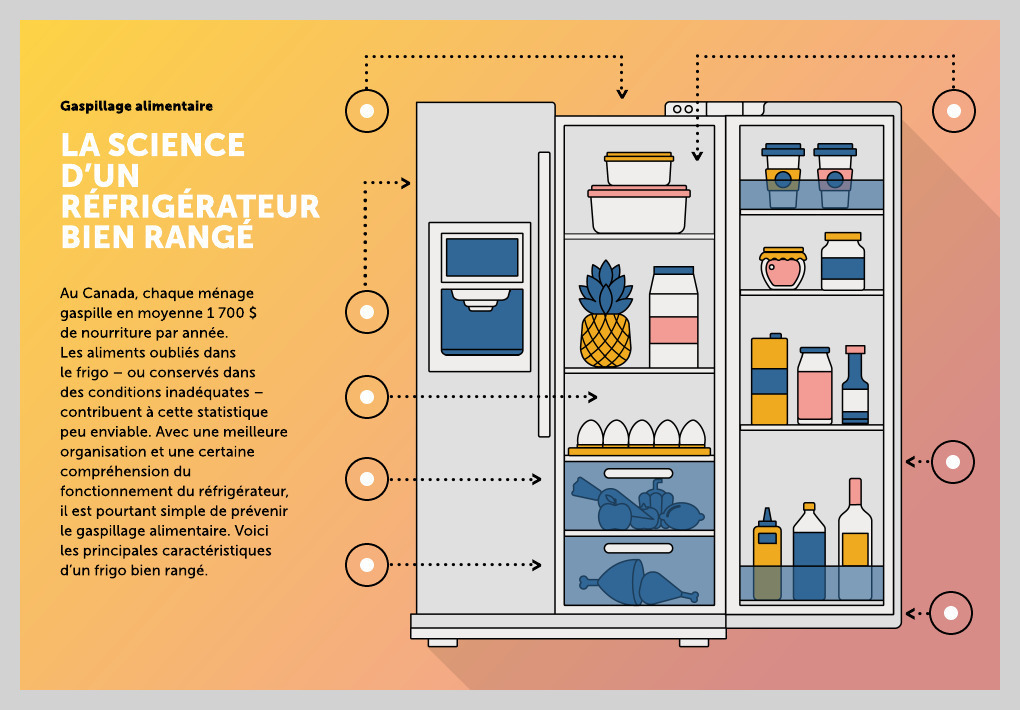 Infographie : un réfrigérateur bien rangé !  Refrigerateur, Rangement  réfrigérateur, Cuisine