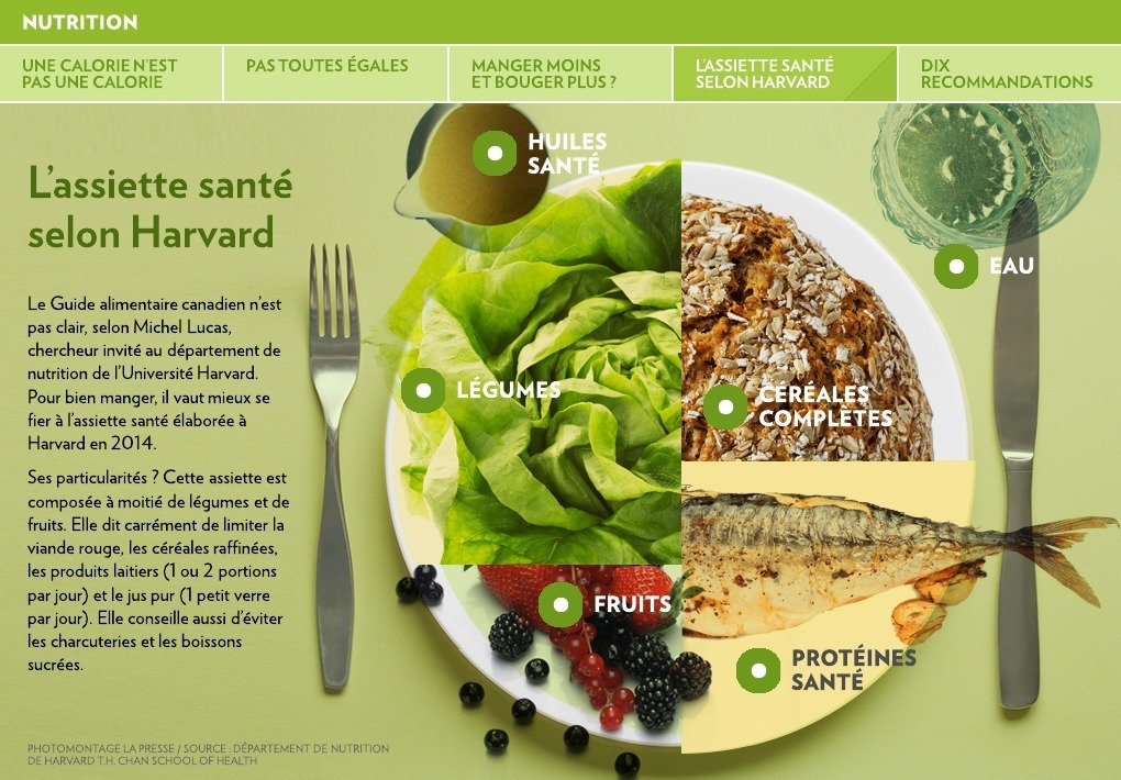 L'Assiette Santé (French – Canada), The Nutrition Source